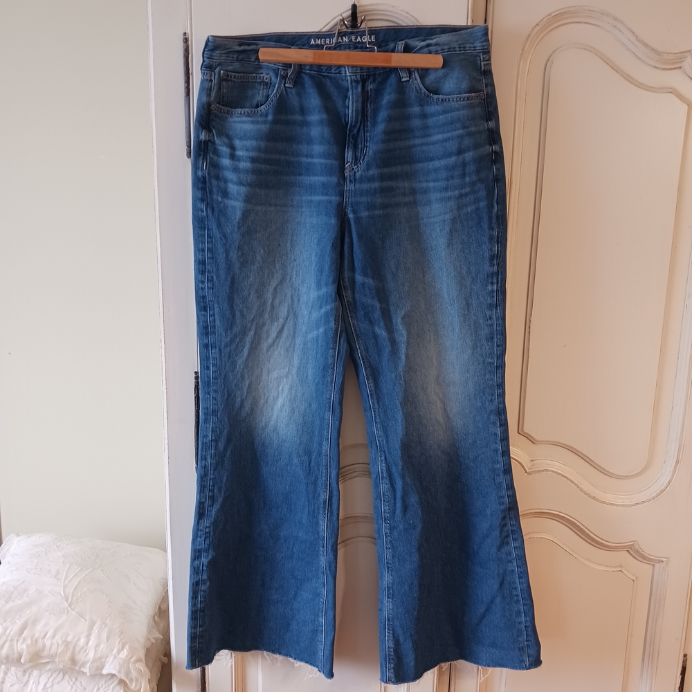 American Eagle Outfitters Low Rise Baggy Flare Jeans - 16 Tall